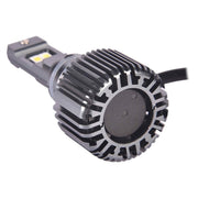 LGP HL BULB F-30 - LGP India